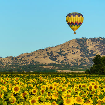 Yolo County Shared Hot Air Balloon Ride with Champagne