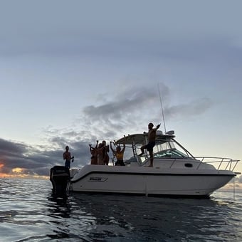 Private North Shore Sunset Cruise