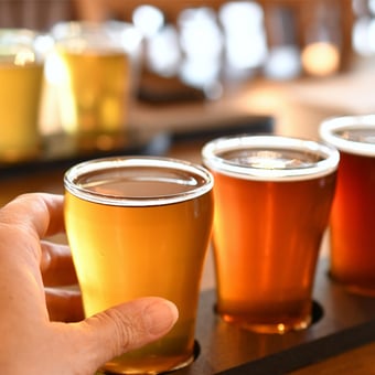 Brewery Bus Tour