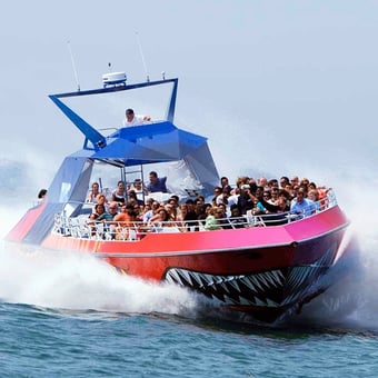 Codzilla Harbor Ride