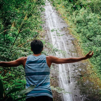 Hike to Manoa Falls