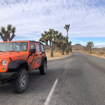 Joshua Tree Driving Tour