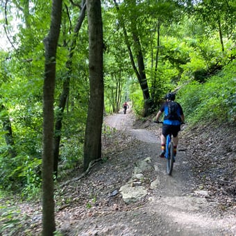 Half Day Mountain Bike Tour
