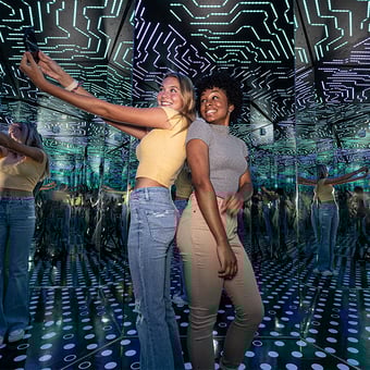 Admission to the Paradox Experience New Jersey