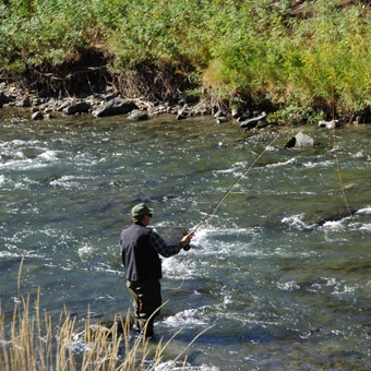 Guided Fly Fishing