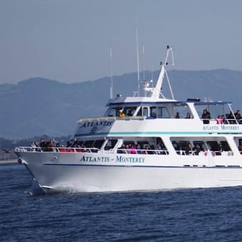 Whale Watching Cruise in Monterey Bay