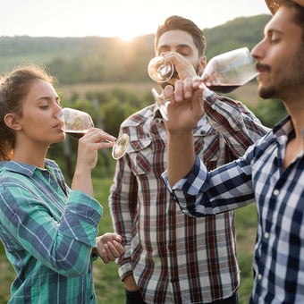 Russian River Kayak, Bike & Wine Tour