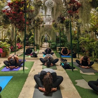 Orchid Garden Yoga Class